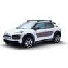 C4 Cactus
