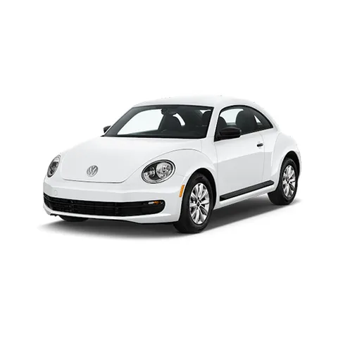 Beetle